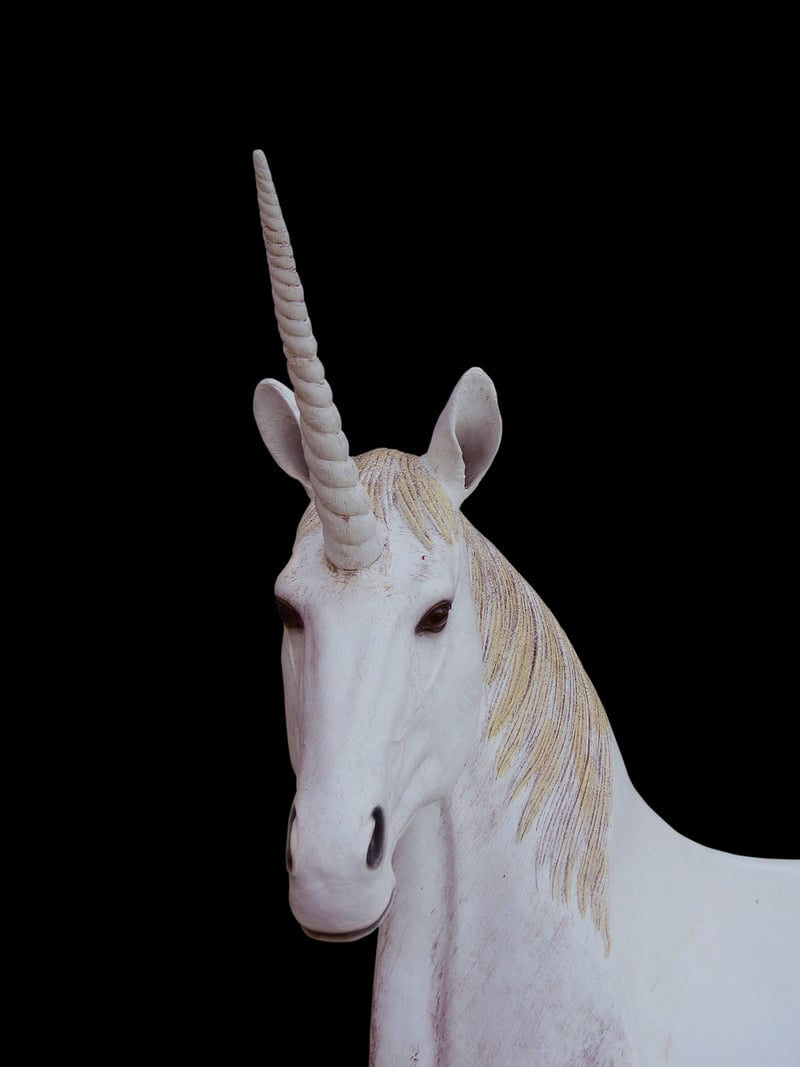 Unicorn Companions