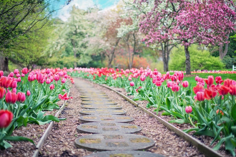 Garden Landscape